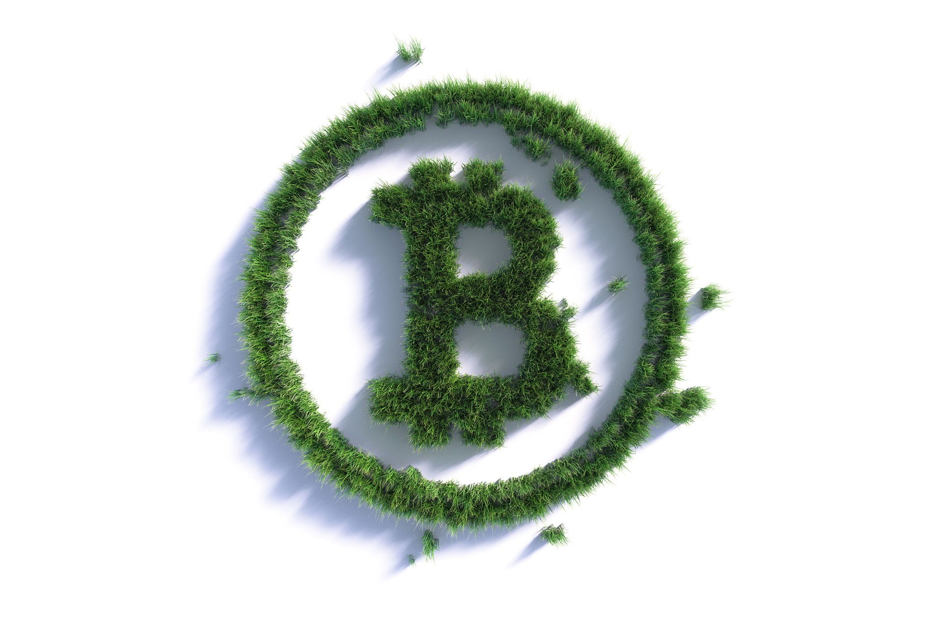 Environmental Issues And Sustainability Concept-  Green Bitcoin Symbol Made of Green Grass On White Background